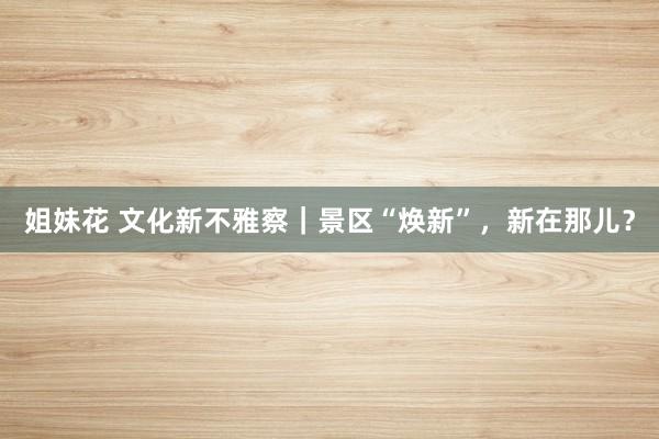 姐妹花 文化新不雅察｜景区“焕新”，新在那儿？
