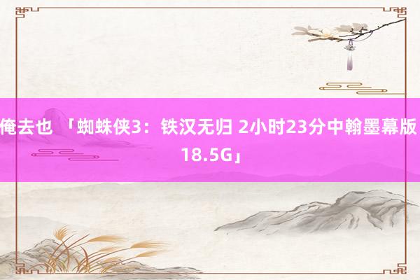 俺去也 「蜘蛛侠3:铁汉无归 2小时23分中翰墨幕版 18.5G」