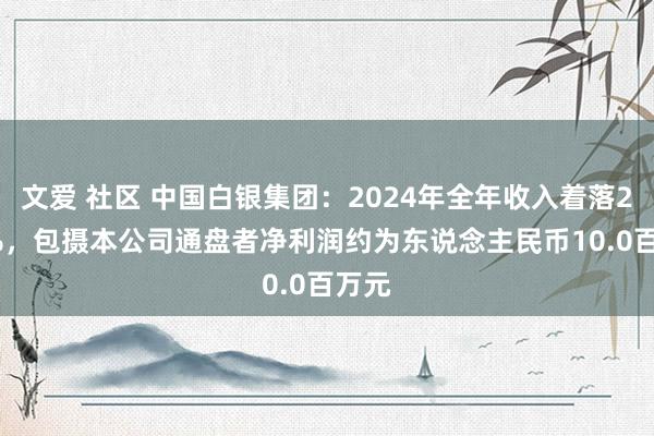 文爱 社区 中国白银集团：2024年全年收入着落20.9%，包摄本公司通盘者净利润约为东说念主民币10.0百万元