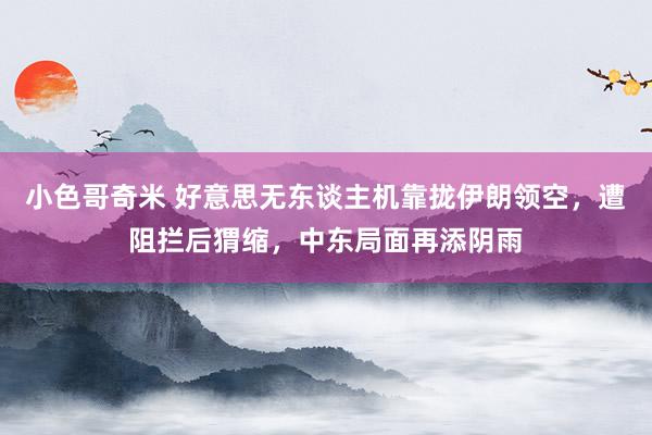小色哥奇米 好意思无东谈主机靠拢伊朗领空，遭阻拦后猬缩，中东局面再添阴雨