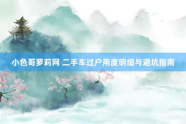 小色哥萝莉网 二手车过户用度明细与避坑指南