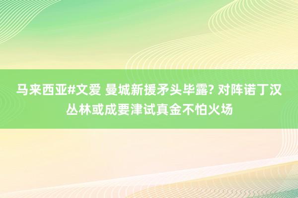 马来西亚#文爱 曼城新援矛头毕露? 对阵诺丁汉丛林或成要津试真金不怕火场