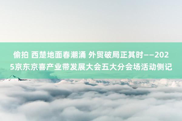 偷拍 西楚地面春潮涌 外贸破局正其时——2025京东京喜产业带发展大会五大分会场活动侧记