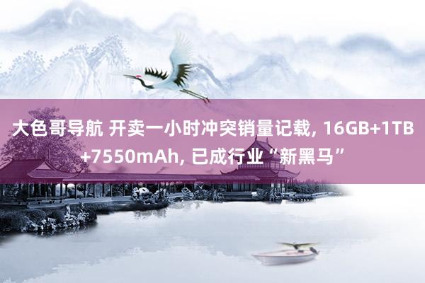 大色哥导航 开卖一小时冲突销量记载， 16GB+1TB+7550mAh， 已成行业“新黑马”