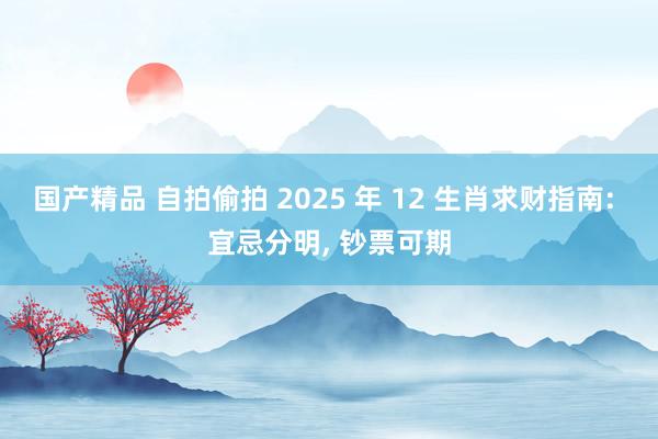 国产精品 自拍偷拍 2025 年 12 生肖求财指南: 宜忌分明， 钞票可期
