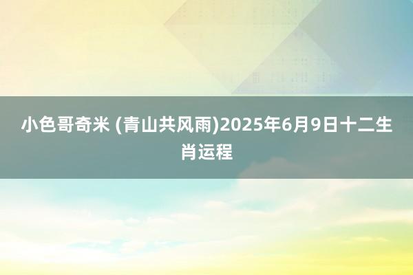 小色哥奇米 (青山共风雨)2025年6月9日十二生肖运程